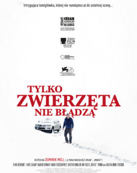 DKF – “Tylko zwierzęta nie błądzą”