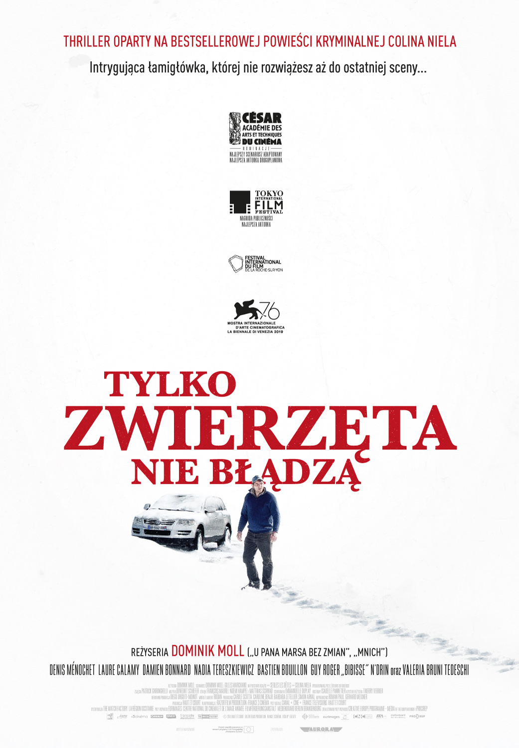 DKF – “Tylko zwierzęta nie błądzą”