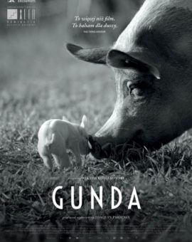 DKF: Gunda