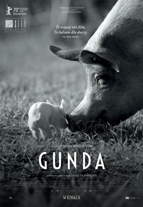 DKF: Gunda