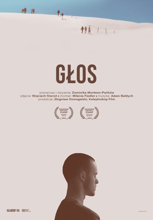 DKF: Głos