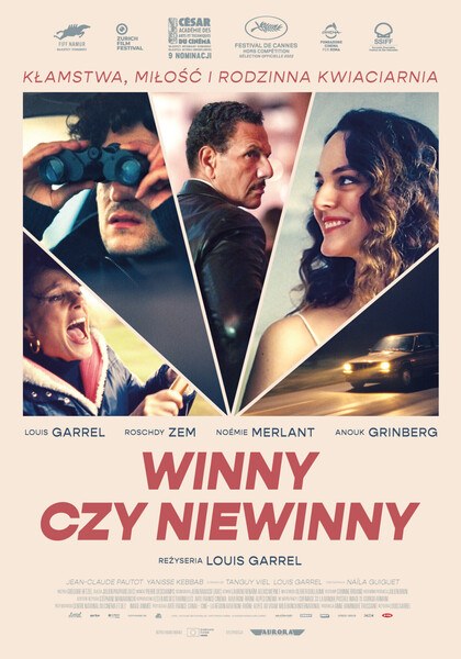 DKF: Winny czy niewinny