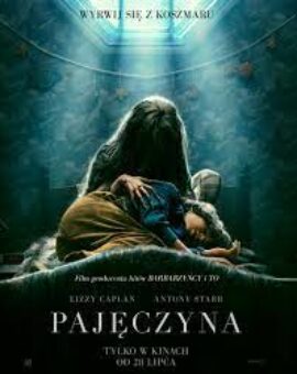 Pajęczyna
