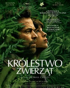 DKF: Królestwo zwierząt