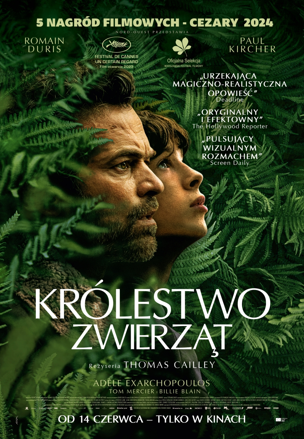 DKF: Królestwo zwierząt