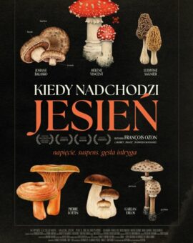 DKF: Kiedy nadchodzi jesień