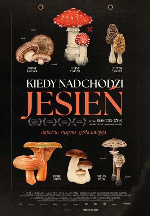 DKF: Kiedy nadchodzi jesień