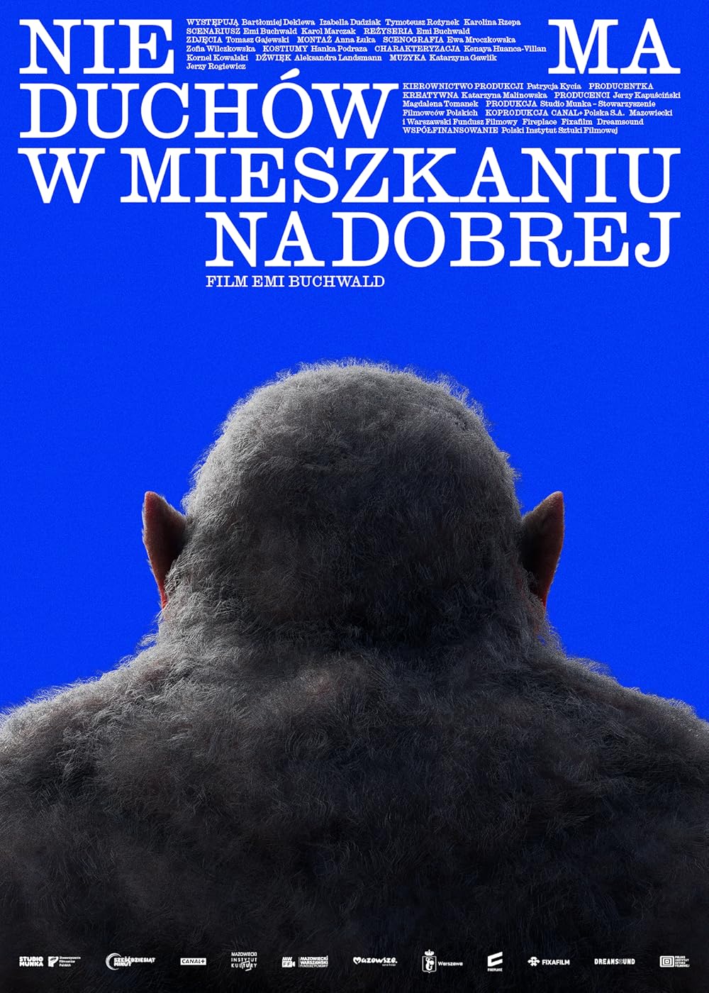 Nie ma duchów w mieszkaniu na Dobrej | DKF