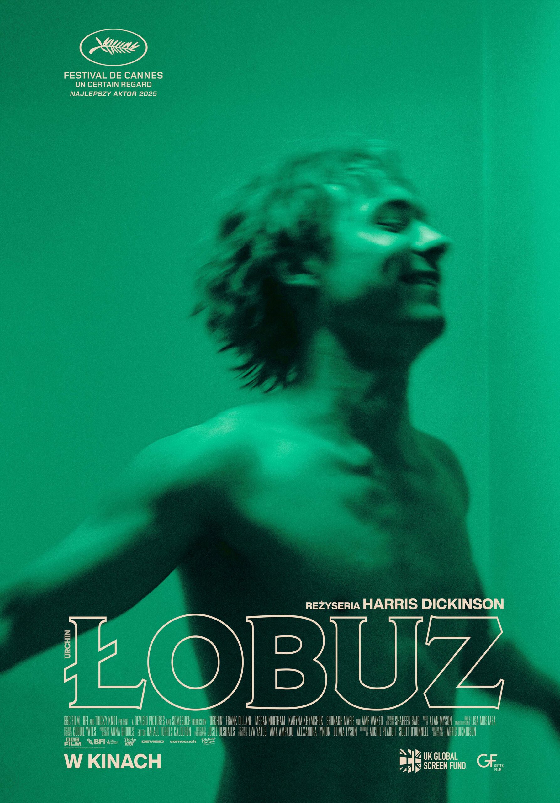 Łobuz | DKF