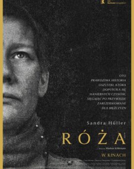 Róża | DKF